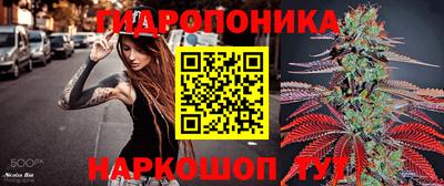 прущие грибы Мариинск