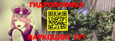 хмурый Малгобек