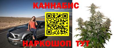 прущие грибы Мариинск