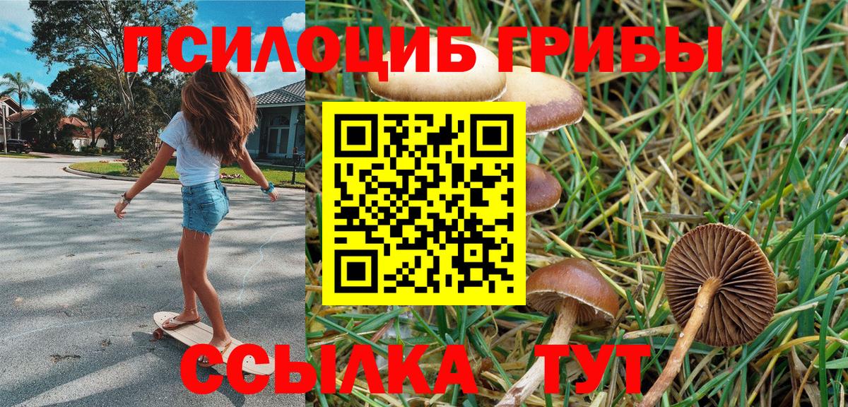 Псилоцибиновые грибы GOLDEN TEACHER  Псилоцибиновые грибы GOLDEN TEACHER  Вход с VPN  Электрогорск 